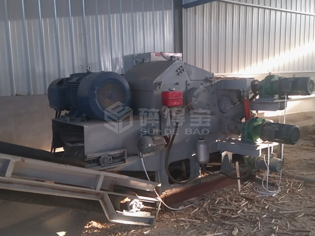 大連生物質(zhì)顆?，F(xiàn)場